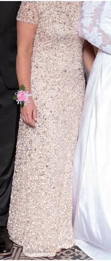 Deep Discounts Adrianna Papell Scoop back sequin gown