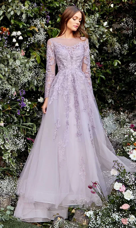 Deal Dash Andrea and Leo - A1024 Enchanting Embellished A-Line Dress